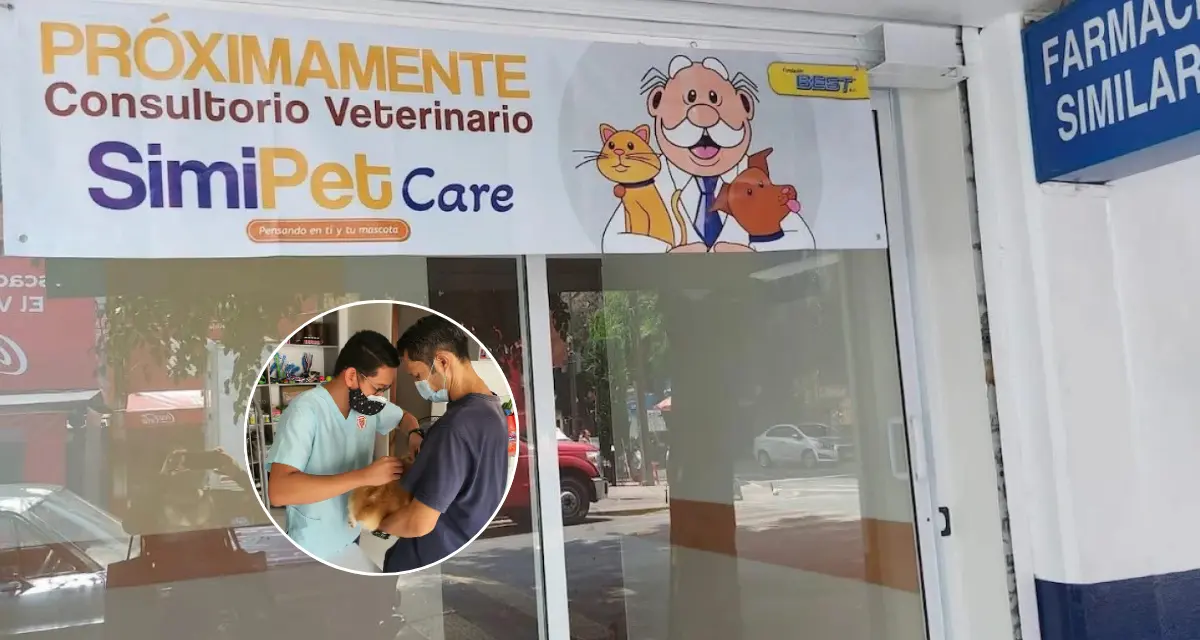Próximamente, SimiPet Care, consultas accesibles para tus mascotas. Foto: Cortesía.