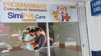 Veterinarias del Dr. Simi; cuanto costarán las consultas para perros y gatos