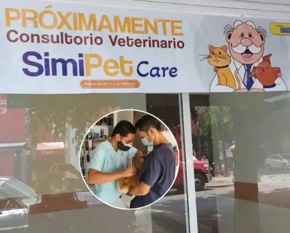 Veterinarias del Dr. Simi; cuanto costarán las consultas para perros y gatos