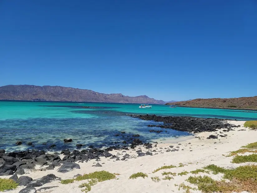 imagen recuadro Vuelos desde $843 pesos a Loreto / Isla Coronado Foto: Tripavisor