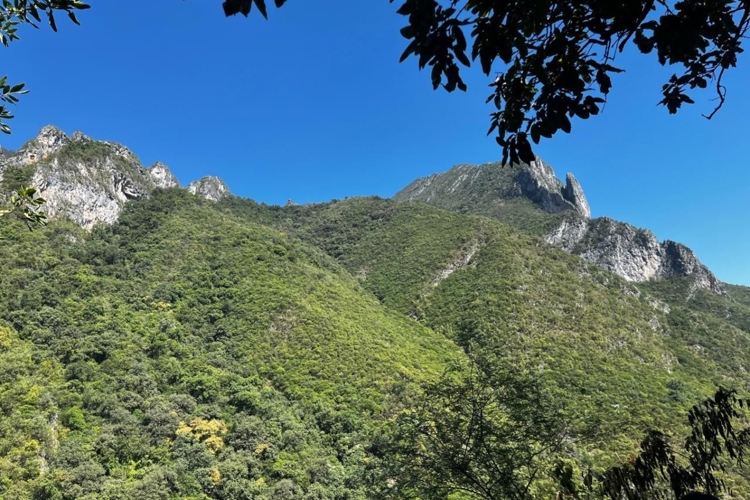 Aventura natural en Monterrey: Escápate a La Estanzuela