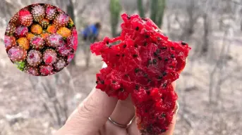 La fruta que está de temporada en Sinaloa y Sonora y es ideal para combatir la anemia