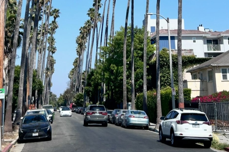 Vive la magia de Santa Mónica, un clásico de California