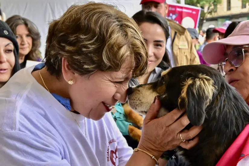 Perritos buscan una familia. Foto: Cortesía Perritos buscan una familia. Foto: Cortesía