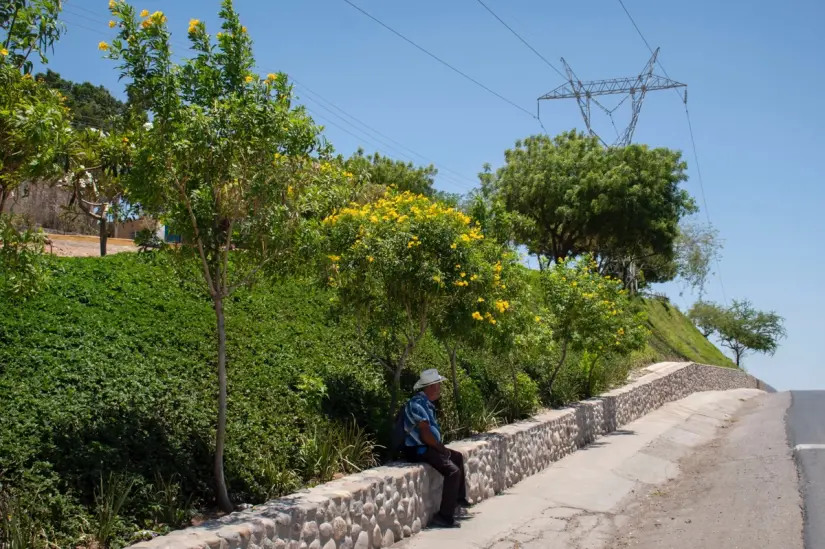 Talud ecológico transforma imagen urbana de la avenida Álvaro Obregón en Culiacán Bienestar y medio ambiente: Culiacán embellece espacios públicos en Proyecto Alfa.