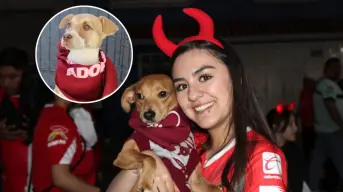 Perritos buscarán un hogar durante la gran final Toluca VS América