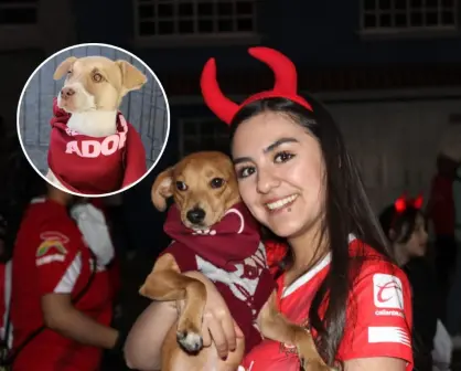 Perritos buscarán un hogar durante la gran final Toluca VS América