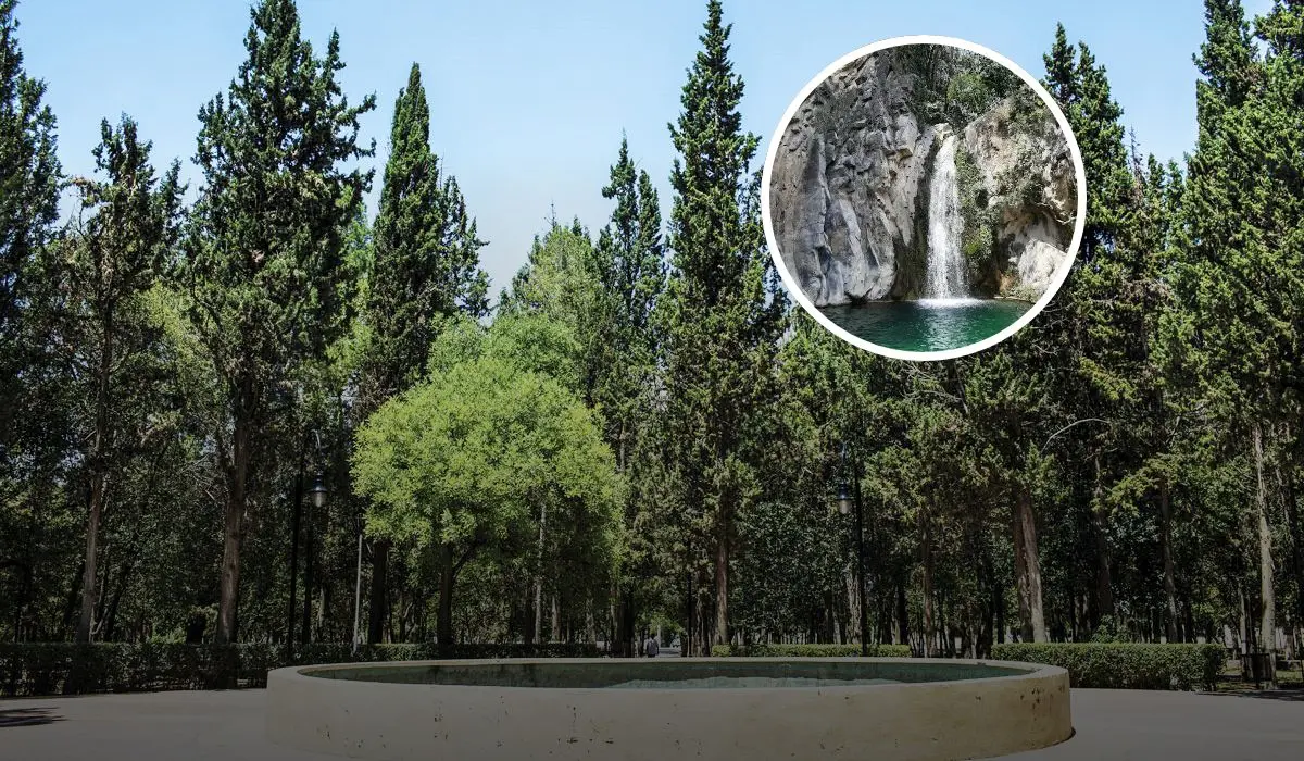 Un destino con refrescante temperaturas que visitar este verano en Coahuila Foto: México Desconocido