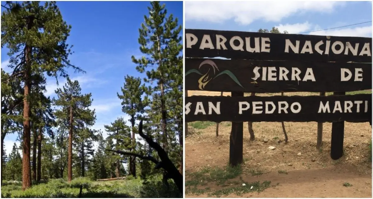 Entérate de las otras actividades para hacer en la Sierra de Baja California. Foto: cortesía