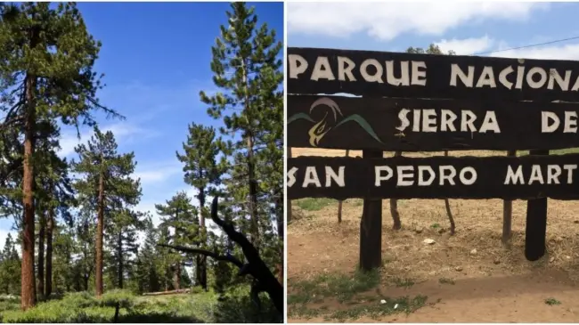 Entérate de las otras actividades para hacer en la Sierra de Baja California. Foto: cortesía