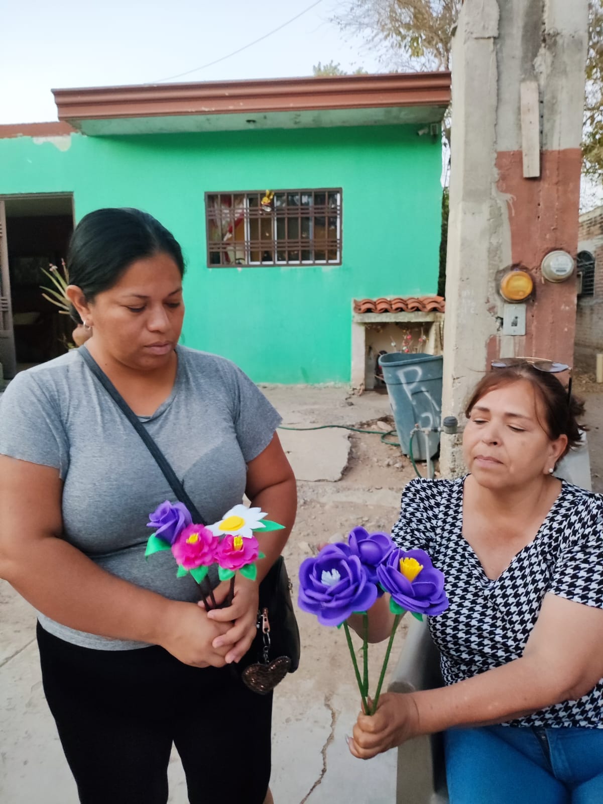 Imagen 7
