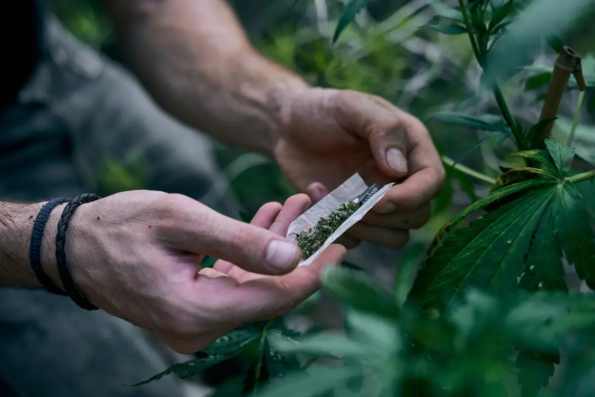 La droga no es el problema mayor, la ilegalidad lo es