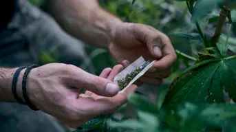 La droga no es el problema mayor, la ilegalidad lo es