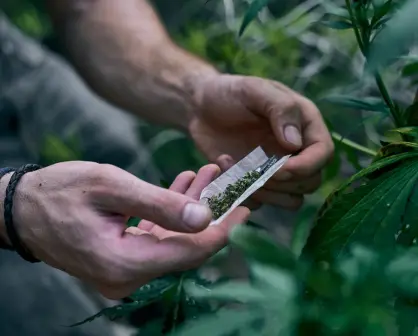 La droga no es el problema mayor, la ilegalidad lo es