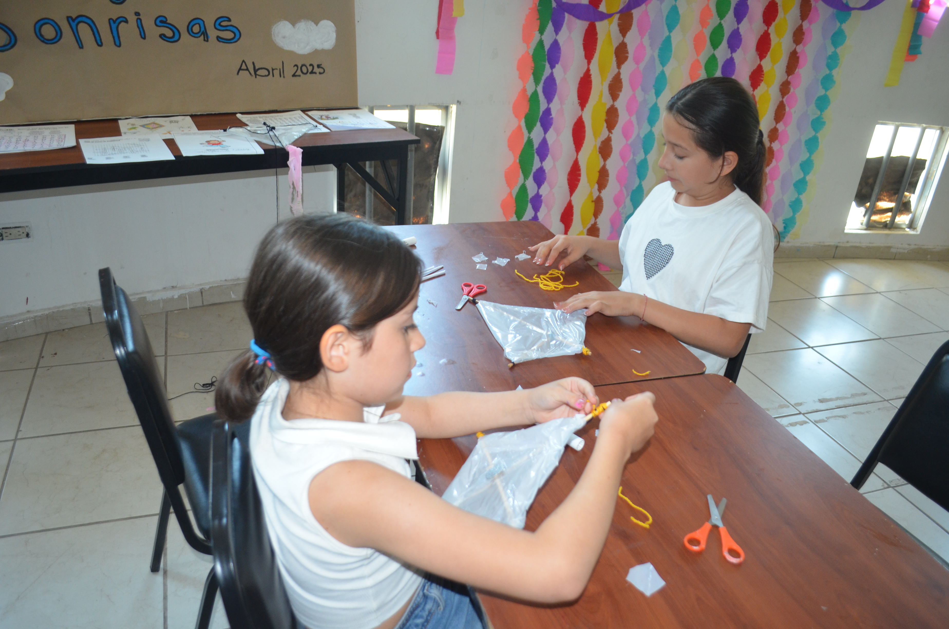 Imagen 14