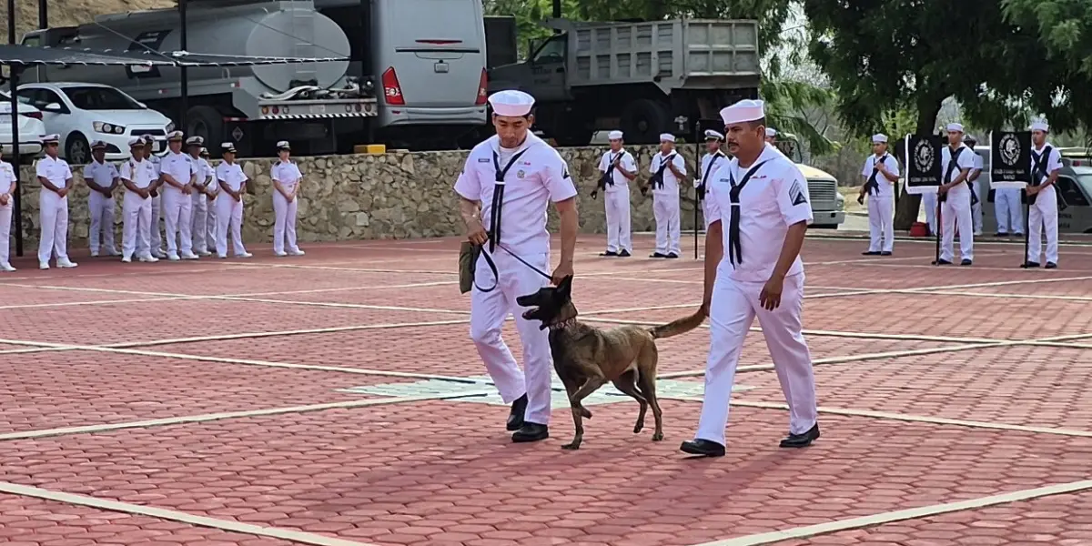 El canino concluyó su etapa en el servicio. Foto: Marina