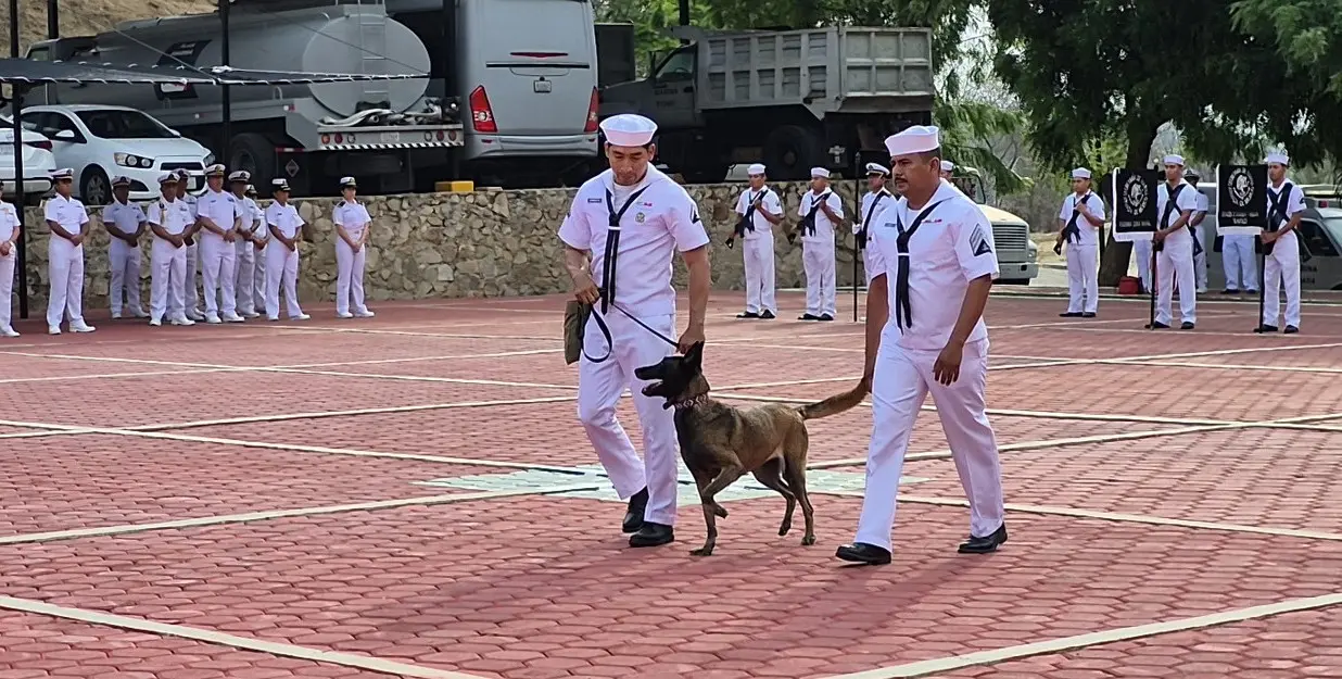 El canino concluyó su etapa en el servicio. Foto: Marina