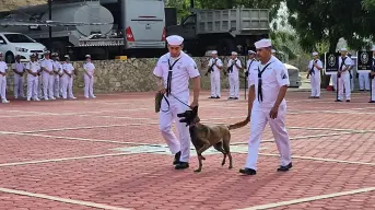 Elementos de la Marina rinden emotivo homenaje al canino Gony en su jubilación en Huatulco
