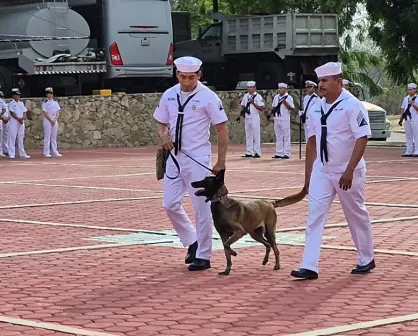 Elementos de la Marina rinden emotivo homenaje al canino Gony en su jubilación en Huatulco