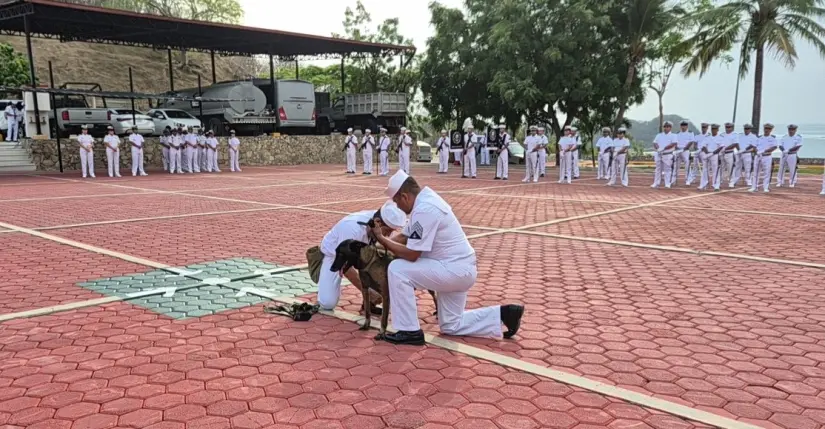 Marina rinde emotivo homenaje al canino Gony en su jubilación Gony sirvió con honor a su división. Foto: Marina