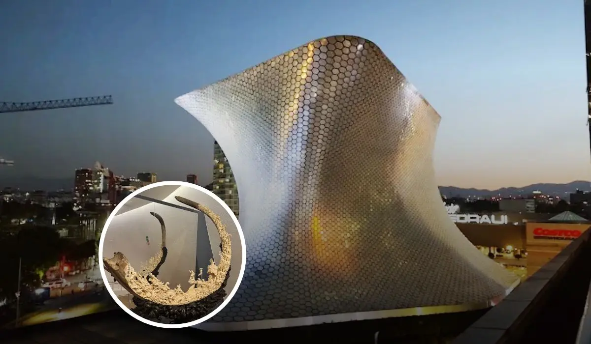 ¿Dónde estan ubicado los dos edificios del museo Soumaya? Foto: Remik Hernandez y Enrico Robles