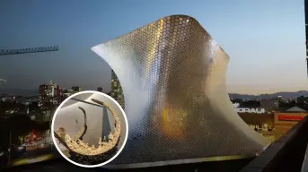 ¿Dónde se encuentra ubicado el museo Soumaya?