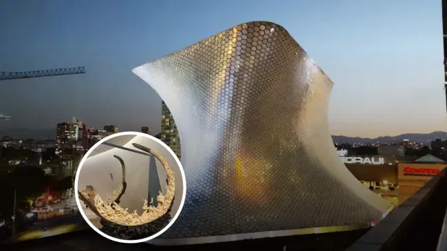 ¿Dónde estan ubicado los dos edificios del museo Soumaya? Foto: Remik Hernandez y Enrico Robles