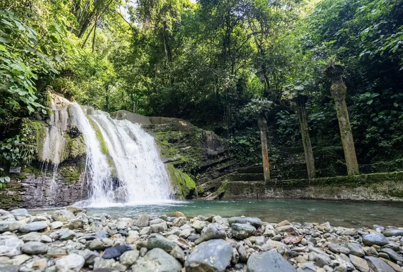 Jardín Escultórico Edward James un lugar emblemático de San Luís Potosí Foto: Tripavisor
