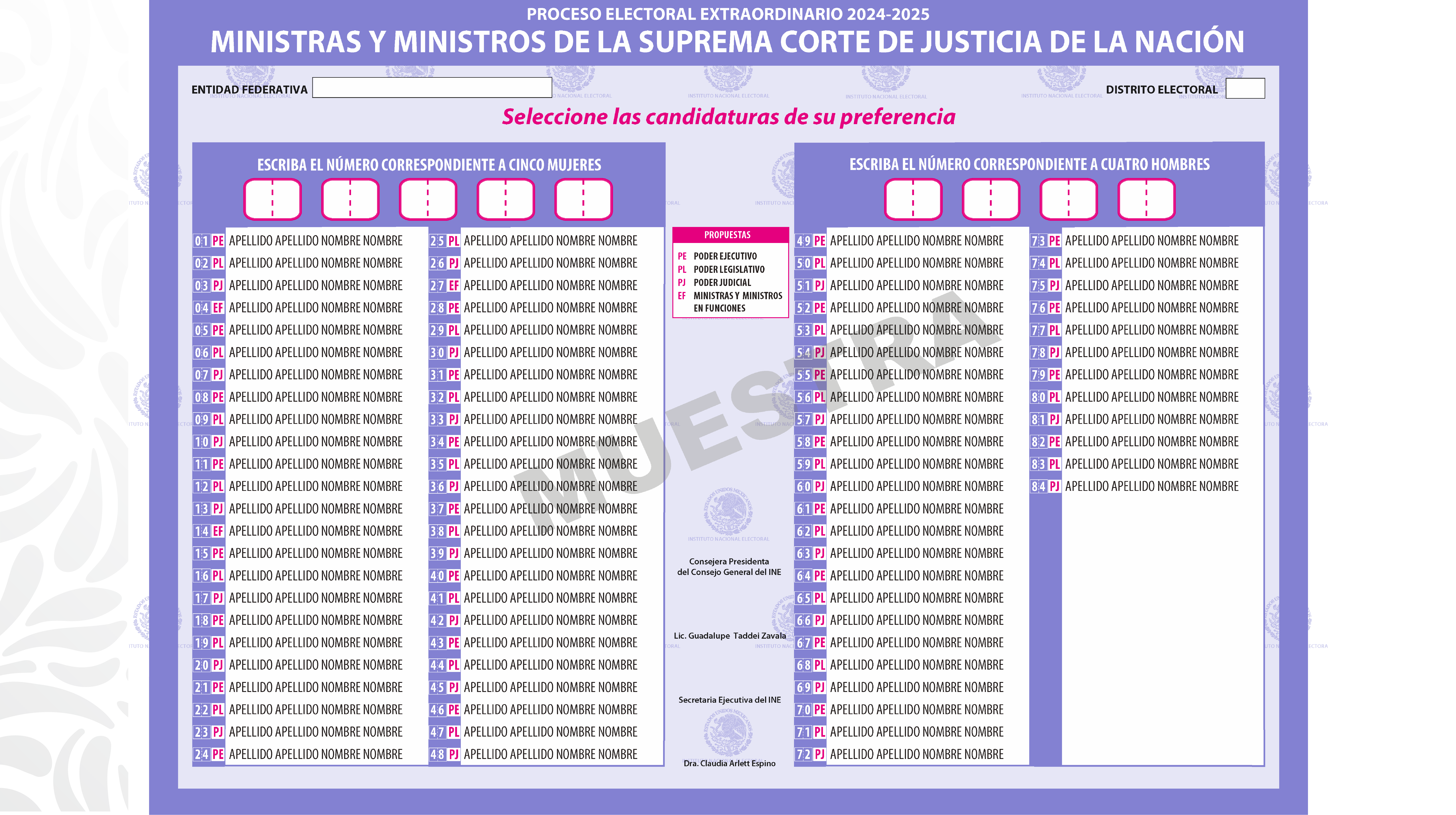 Imagen 6