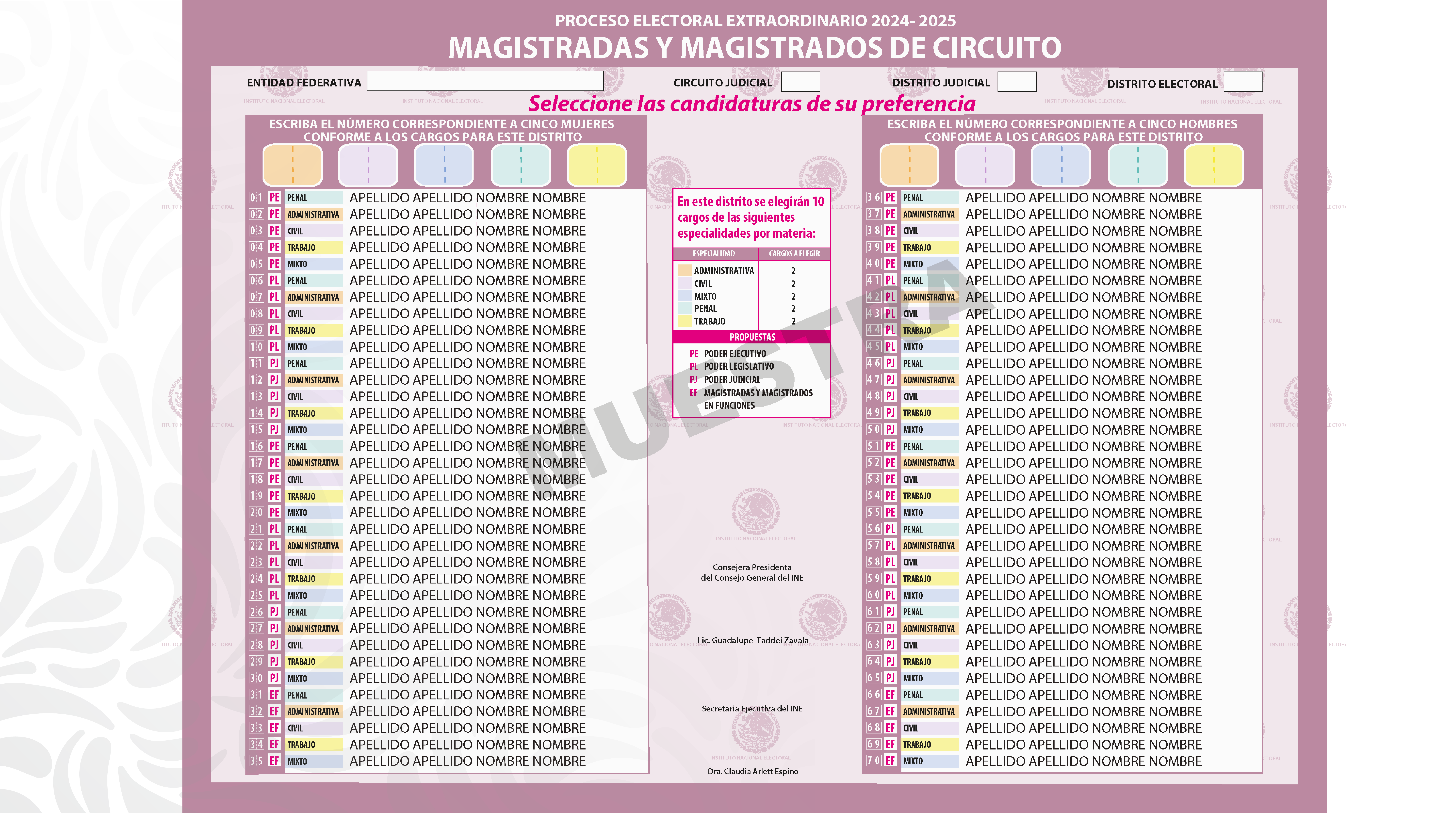 Imagen 5