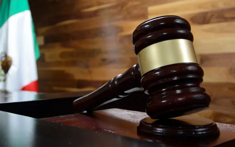 Elección Judicial 2025: ¿Son legales los acordeones? Esto dicen las normas sobre los acordeones. Foto: Cortesía