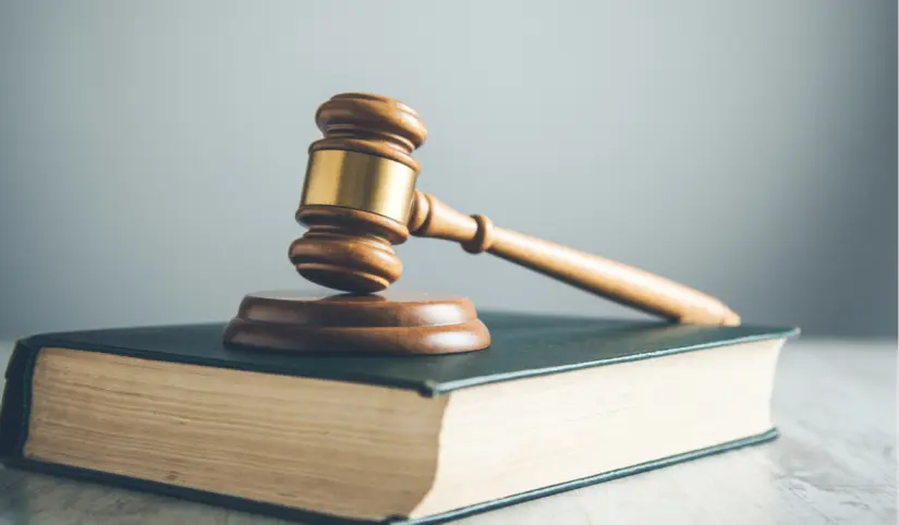 Elección Judicial 2025, Son legales los acordeones El INE se posiciona en contra de esta práctica. Foto: Cortesía