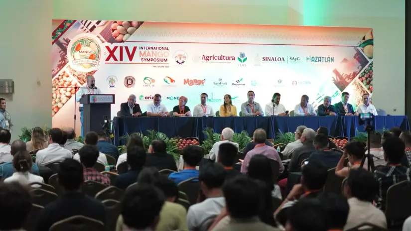 México es el quinto lugar productor de mango en el mundo Estos eventos fortalecen los esfuerzos para una producción más eficiente. Foto: Gob. de Sinaloa
