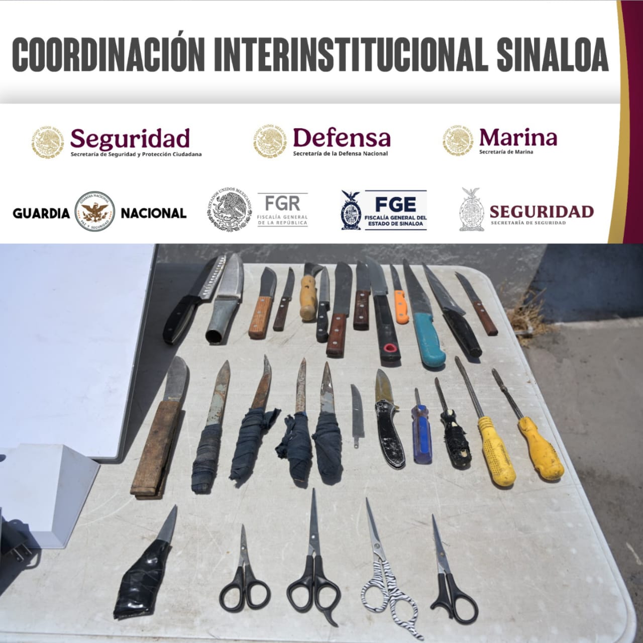 Imagen 6