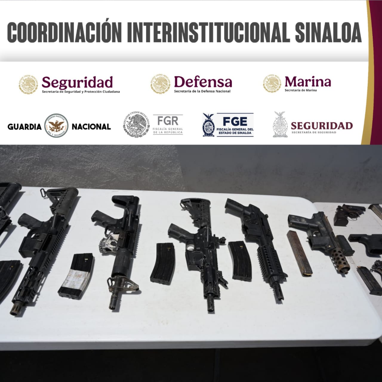 Imagen 5