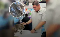 ¡Gatita en apuros! Armando la pone a salvo desde lo alto de una antena en Culiacán