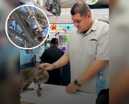 ¡Gatita en apuros! Armando la pone a salvo desde lo alto de una antena en Culiacán