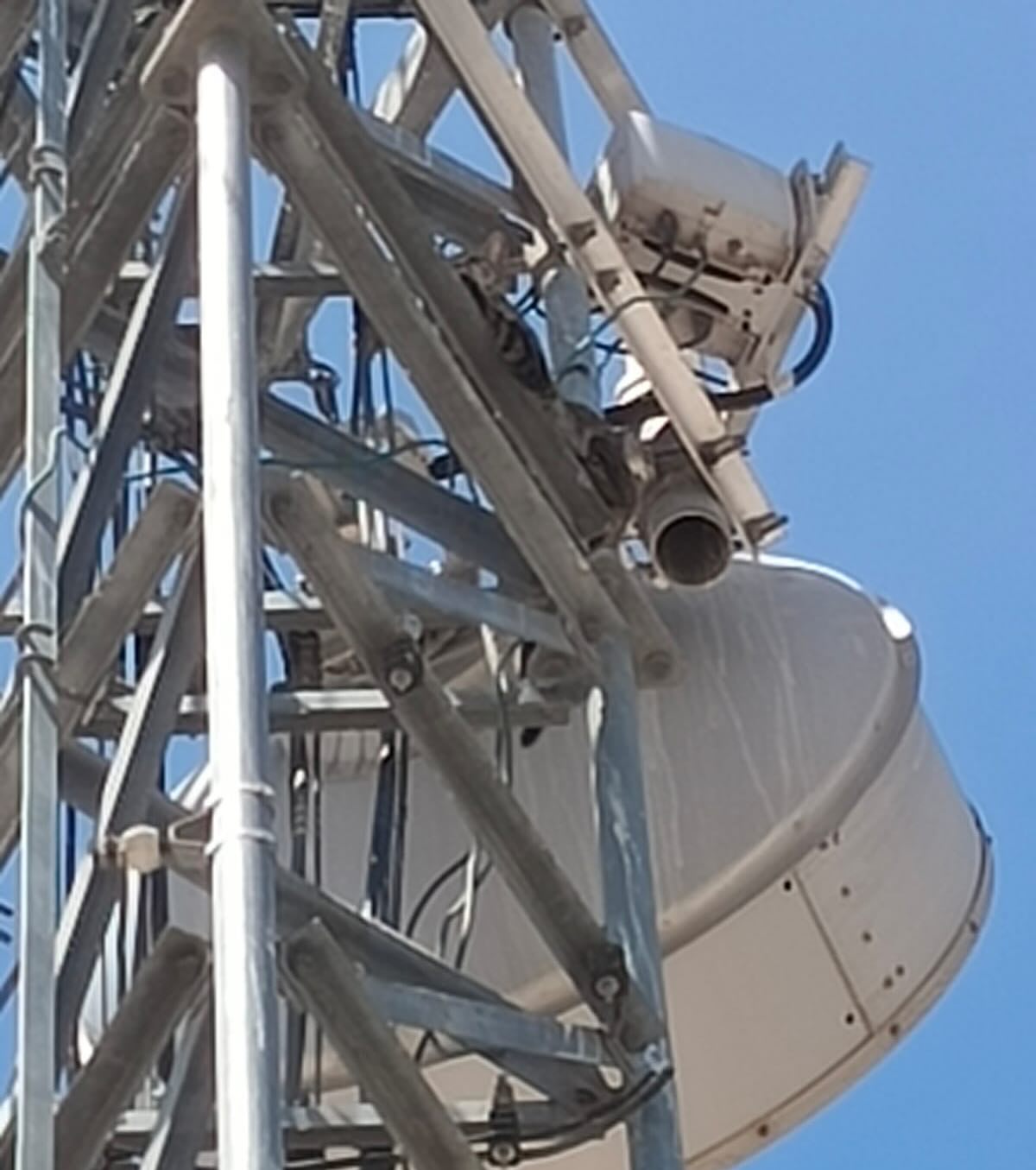 Imagen 2
