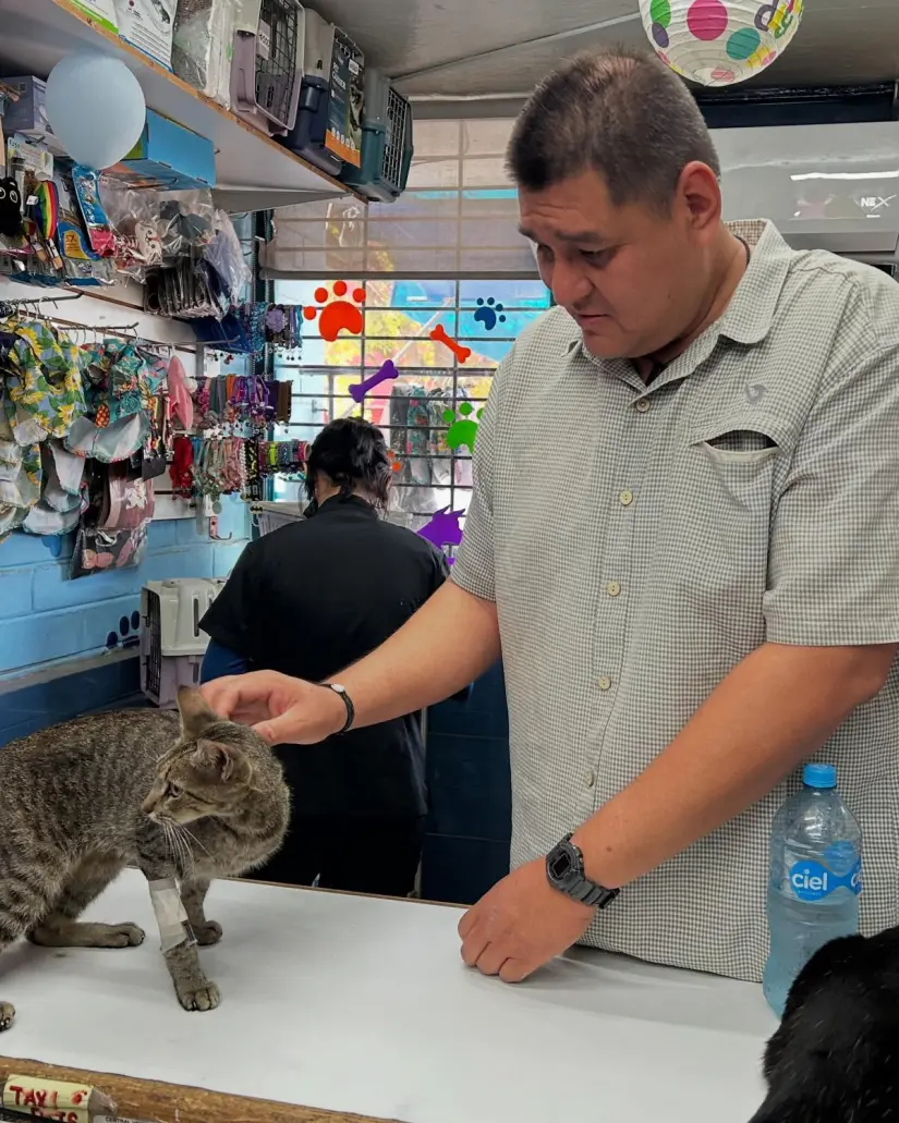 Armando salva a gatita en antena de Culiacán Armando Jiménez salva a una gatita atrapada en una antena en Valle Alto.