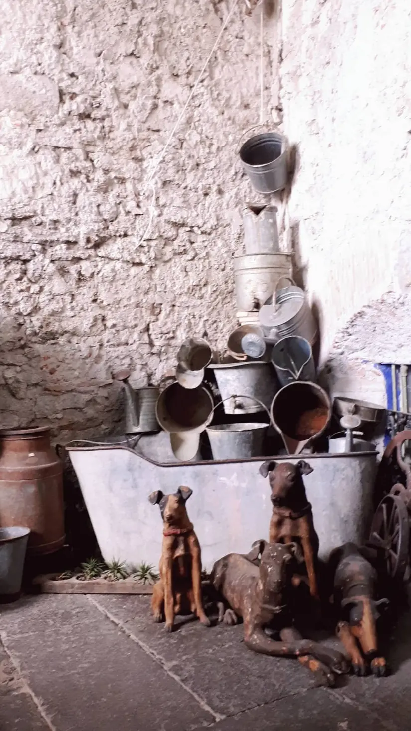 imagen recuadro Artesanías del Callejón del sapo Foto: Tripavisor