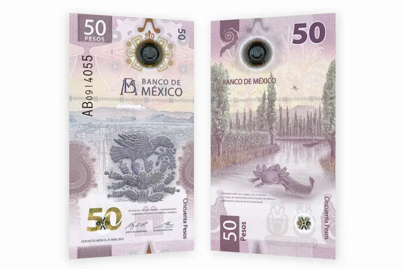 ¿Realmente vale tanto el billete de 50 pesos con ajolote? El billete de ajolote se ha vuelto en uno de los más populares en México. Imagen: Banxico