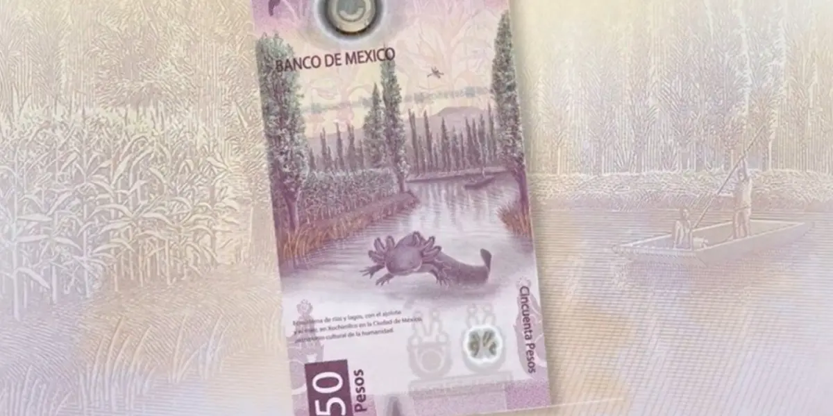 Este es uno de los billetes más populares de México. Imagen: Banxico