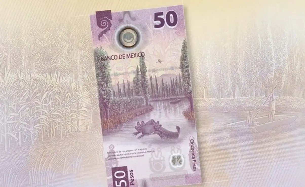 Este es uno de los billetes más populares de México. Imagen: Banxico