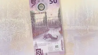 ¿Realmente vale tanto el billete de 50 pesos con ajolote? Esto dicen los expertos