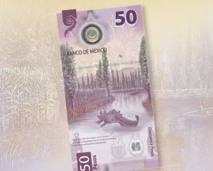 ¿Realmente vale tanto el billete de 50 pesos con ajolote? Esto dicen los expertos
