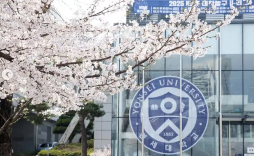 Universidad de Yonsei, Seúl. Foto: @yonsei_official Universidad de Yonsei, Seúl. Foto: @yonsei_official