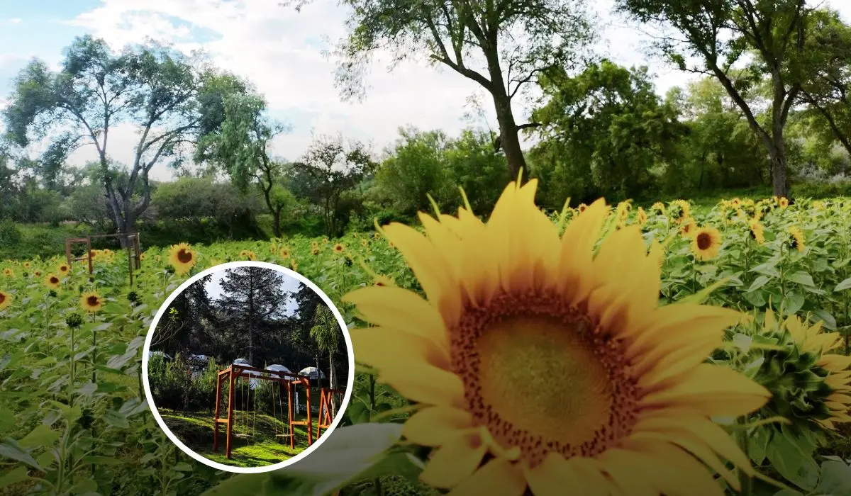 Cinco sugerencias que visitar cerca de Ciudad de México Foto: Rancho los Álamos / Fuerza Ancestral