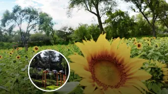 5 atracciones imperdibles para disfrutar cerca de la CDMX este fin de semana