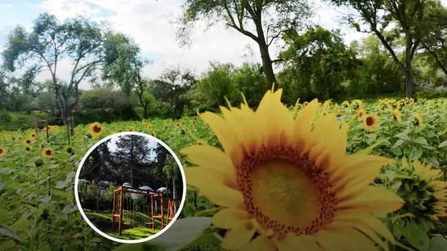 Cinco sugerencias que visitar cerca de Ciudad de México Foto: Rancho los Álamos / Fuerza Ancestral