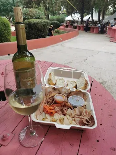 imagen recuadro Desgustacíon de la Festival Internacional del Arte, Queso y Vino Foto: Marco Palma